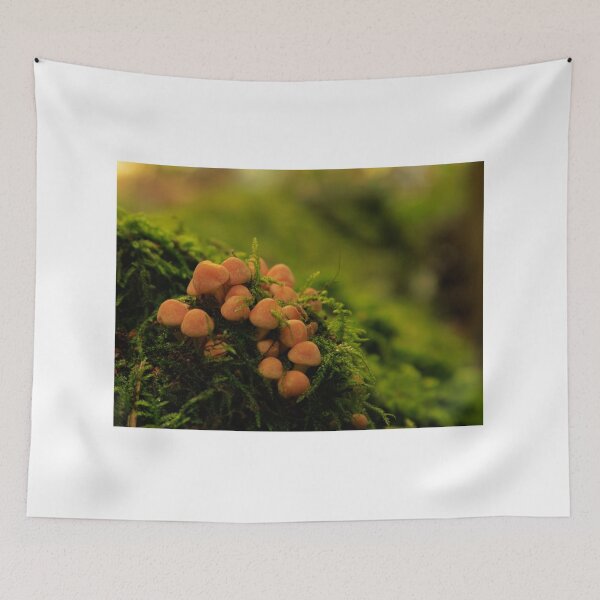 Item preview, Mini autumn fungi designed and sold by AlanDPhotos.
