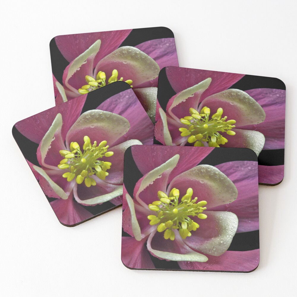 Item preview, Coasters (Set of 4) designed and sold by KrysBailey.