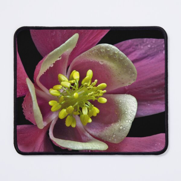 Item preview, Spring Magic designed and sold by Krys Bailey.