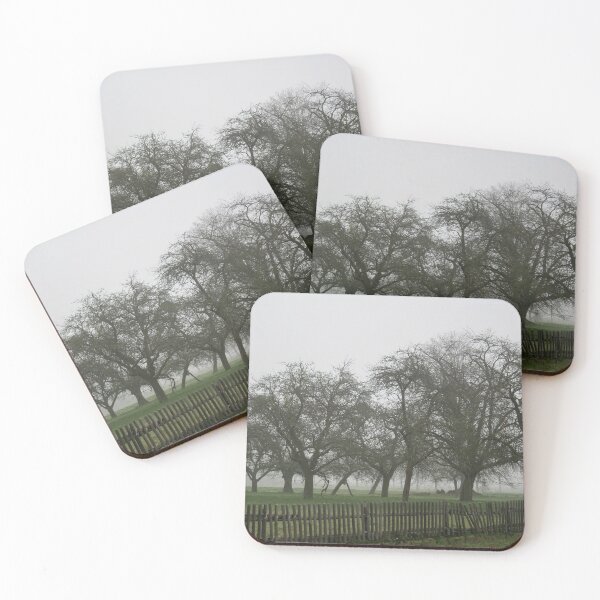 Item preview, Trees behind a fence in the mist designed and sold by Calidris Fotografie Steffi & Ben Köppler.