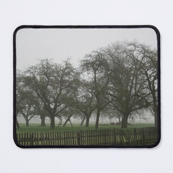 Item preview, Trees behind a fence in the mist designed and sold by Calidris Fotografie Steffi & Ben Köppler.