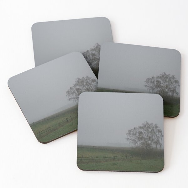 Item preview, Birch in the mist designed and sold by Calidris Fotografie Steffi & Ben Köppler.