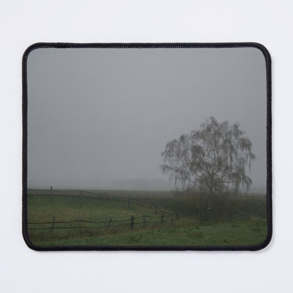 Item preview, Birch in the mist designed and sold by Calidris Fotografie Steffi & Ben Köppler.