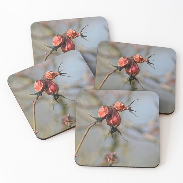 Item preview, Dried Rosebuds in Winter designed and sold by Calidris Fotografie Steffi & Ben Köppler.