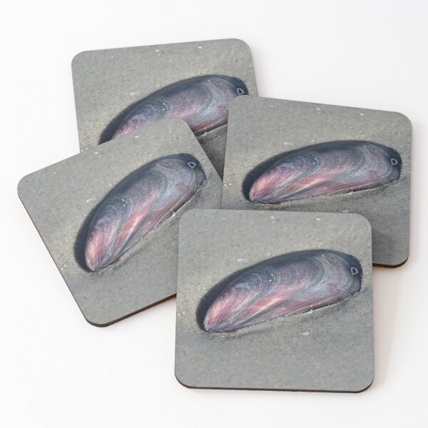 Item preview, Mussel designed and sold by Calidris Fotografie Steffi & Ben Köppler.
