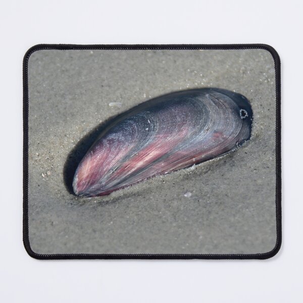 Item preview, Mussel designed and sold by Calidris Fotografie Steffi & Ben Köppler.