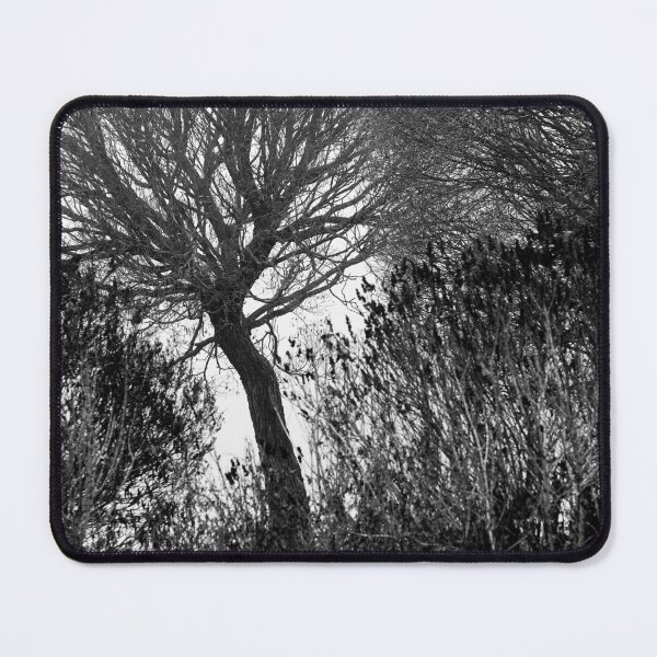 Item preview, 6.11.2023: Tree and Bushes designed and sold by Petri Volanen.