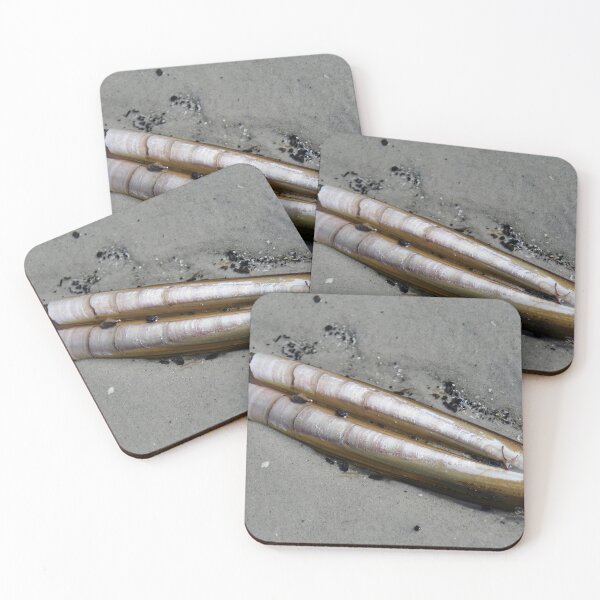 Item preview, Razor Clam designed and sold by Calidris Fotografie Steffi & Ben Köppler.