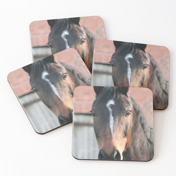 Item preview, Horse - Portrait designed and sold by Calidris Fotografie Steffi & Ben Köppler.