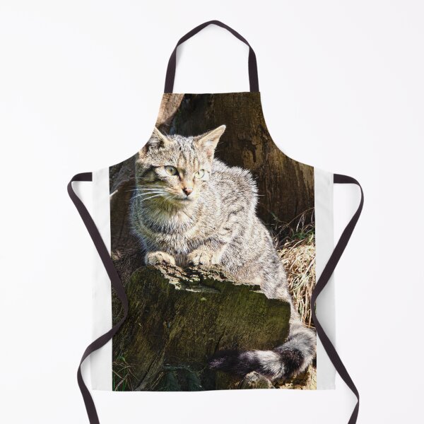 Item preview, The Scottish wildcat,sitting in the sun designed and sold by kathleenjean.