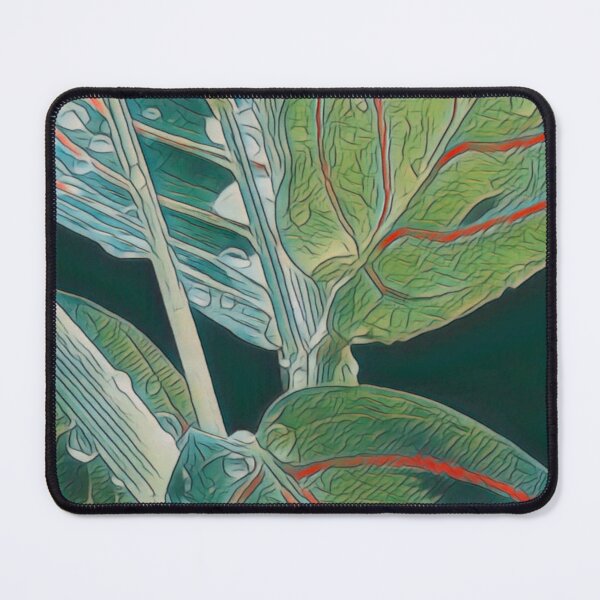 Item preview, Maranta leuconeura designed and sold by Sankofa.