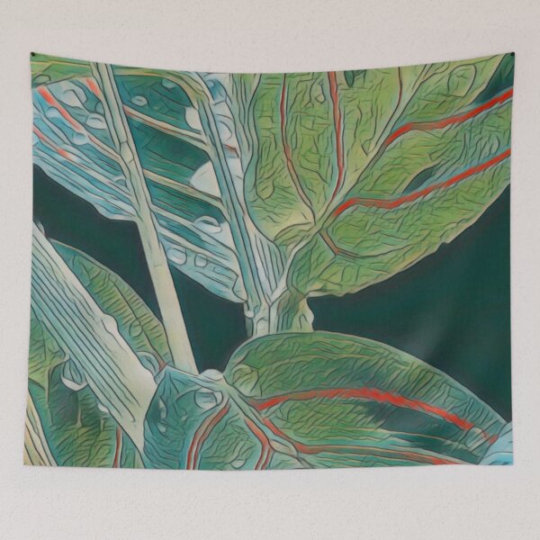 Item preview, Maranta leuconeura designed and sold by Sankofa.