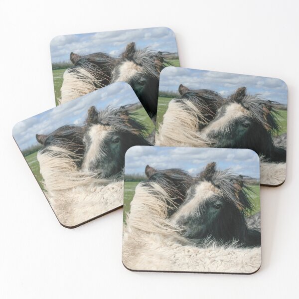 Item preview, Irish foals designed and sold by Calidris Fotografie Steffi & Ben Köppler.