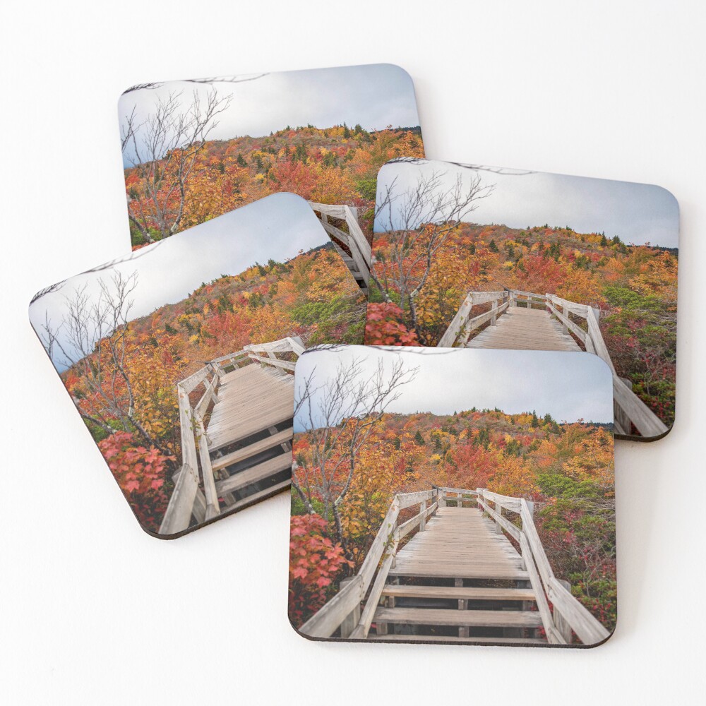 Item preview, Coasters (Set of 4) designed and sold by LucyPogosian.