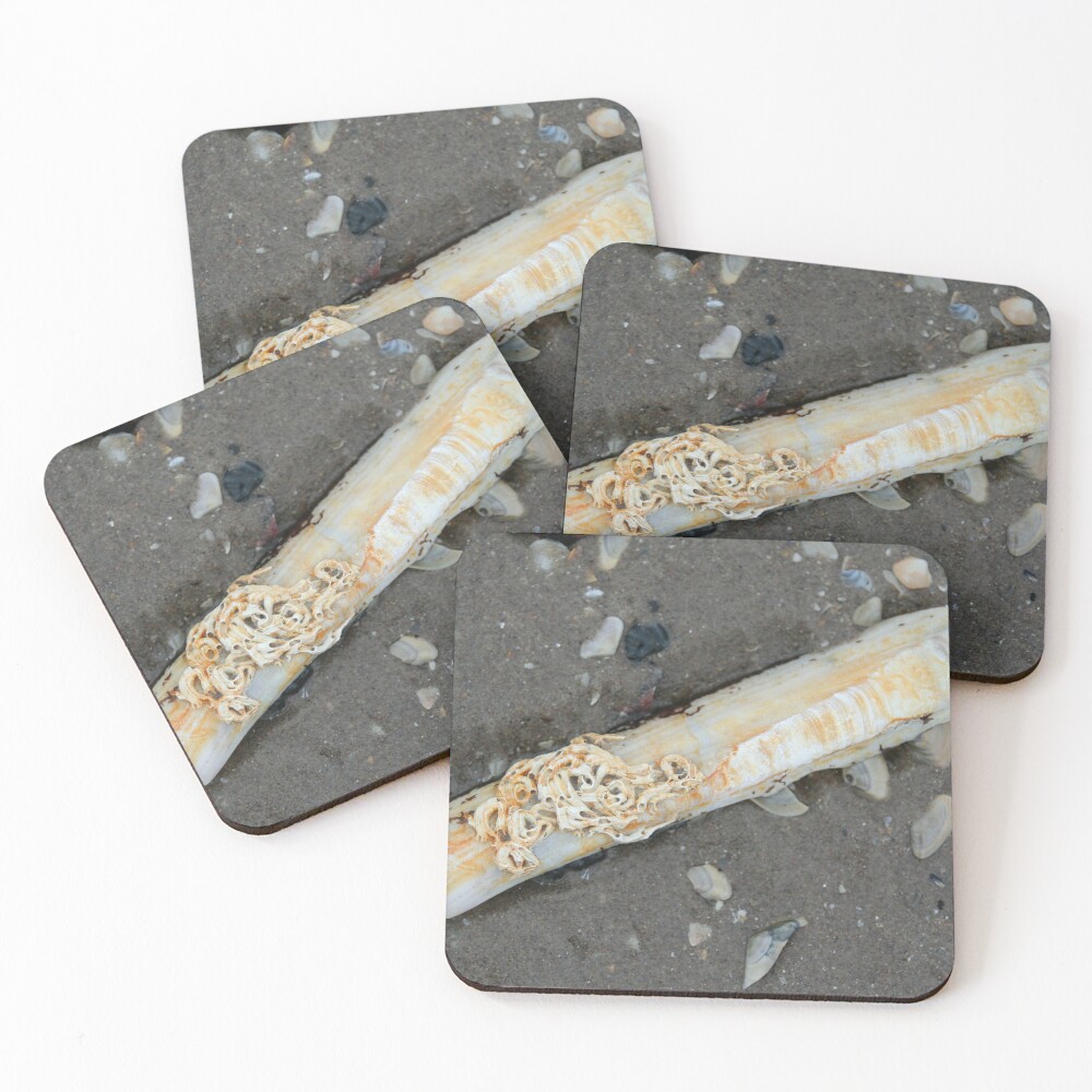 Item preview, Coasters (Set of 4) designed and sold by steffik.