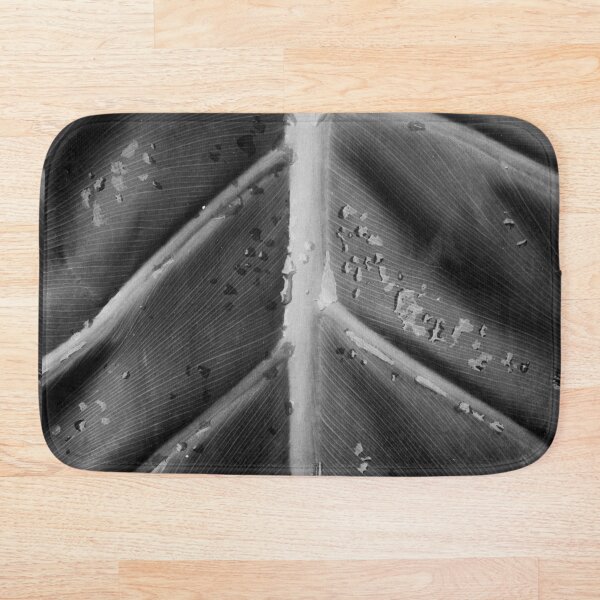 Item preview, Black and white contrasted leaf, fine art photography designed and sold by nachodramis.