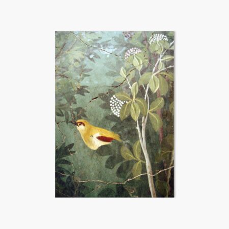 Item preview, Roman Fresco of a Golden Oriole, Pompeii. designed and sold by frederic Lecut.