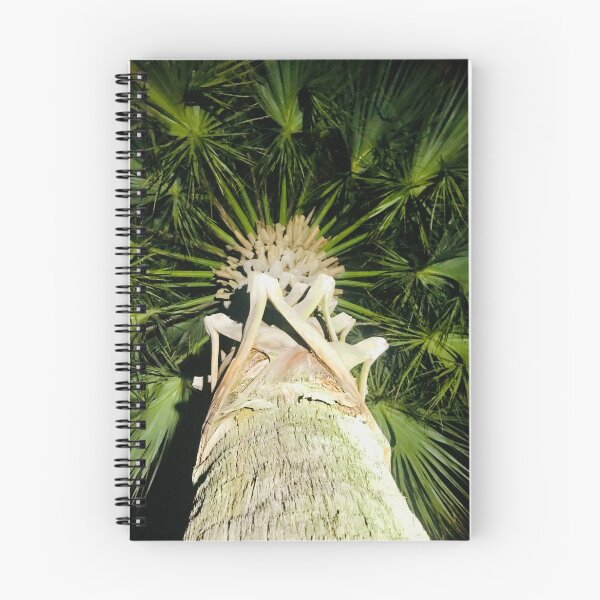Item preview, Charleston Palm designed and sold by Ragen Gee.