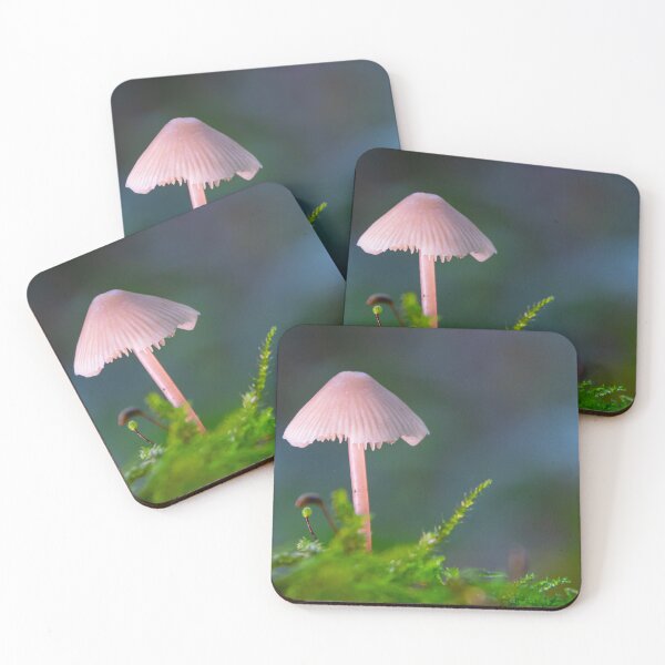 Item preview, Common Bonnet - Mycena galericulata-2939 designed and sold by AlanDPhotos.