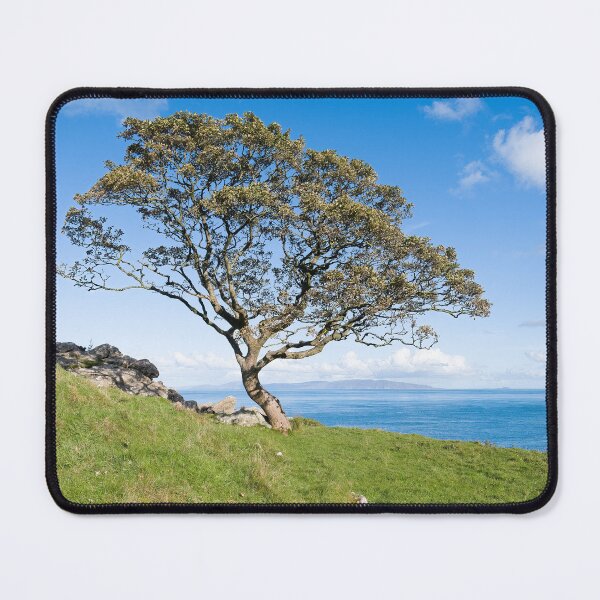 Item preview, Murlough Bay Lone Tree designed and sold by Adrian McGlynn.