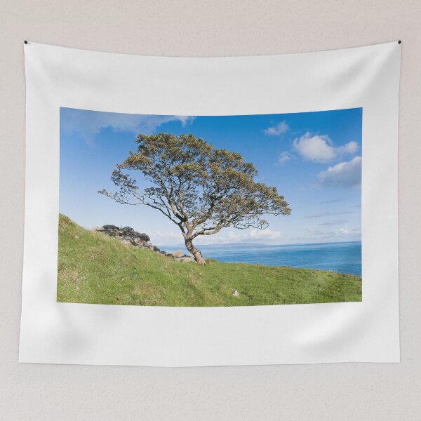 Item preview, Murlough Bay Lone Tree designed and sold by Adrian McGlynn.