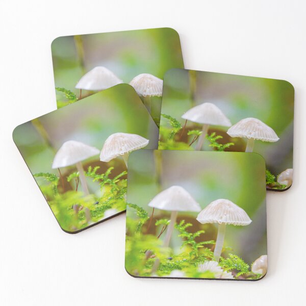 Item preview, autumn fungi and guests designed and sold by AlanDPhotos.