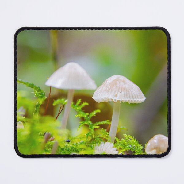 Item preview, autumn fungi and guests designed and sold by AlanDPhotos.