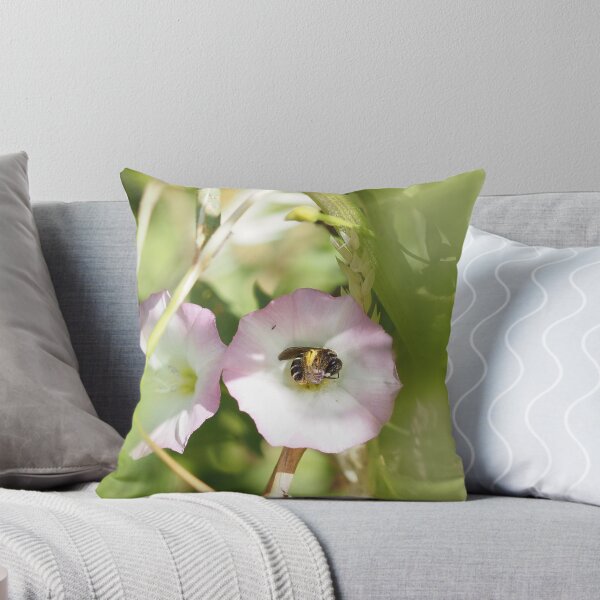 Item preview, Little bee on a bindweed flower designed and sold by Syr'photographies.