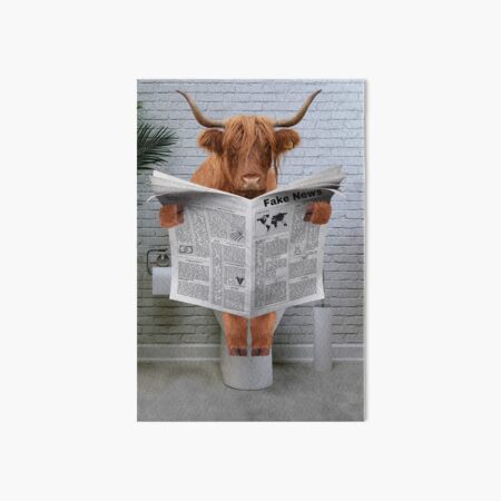Scottish Highland Cow on Toilet Reading Newspaper 