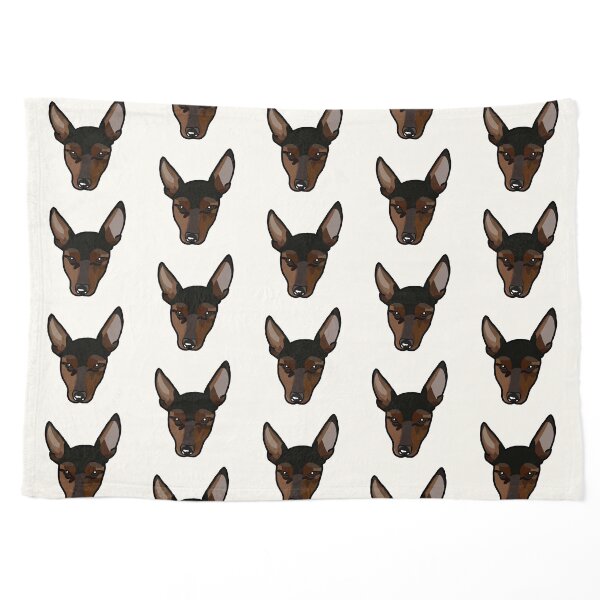 henny benny Pet Blanket