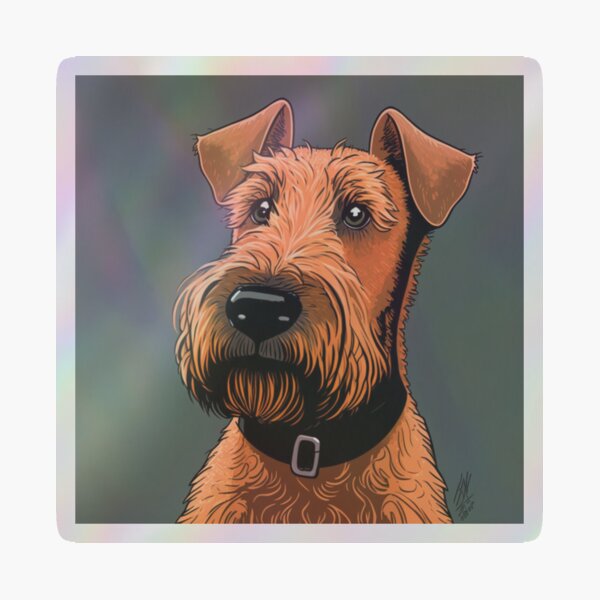 sh,small,507x507-pad,600x600,