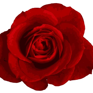 Artwork thumbnail, ROSE by Rosedumpling