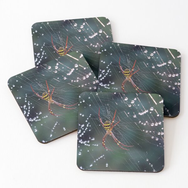 Item preview, Raindrops on Spiders ... are a few of my favourite things designed and sold by Siene Browne.