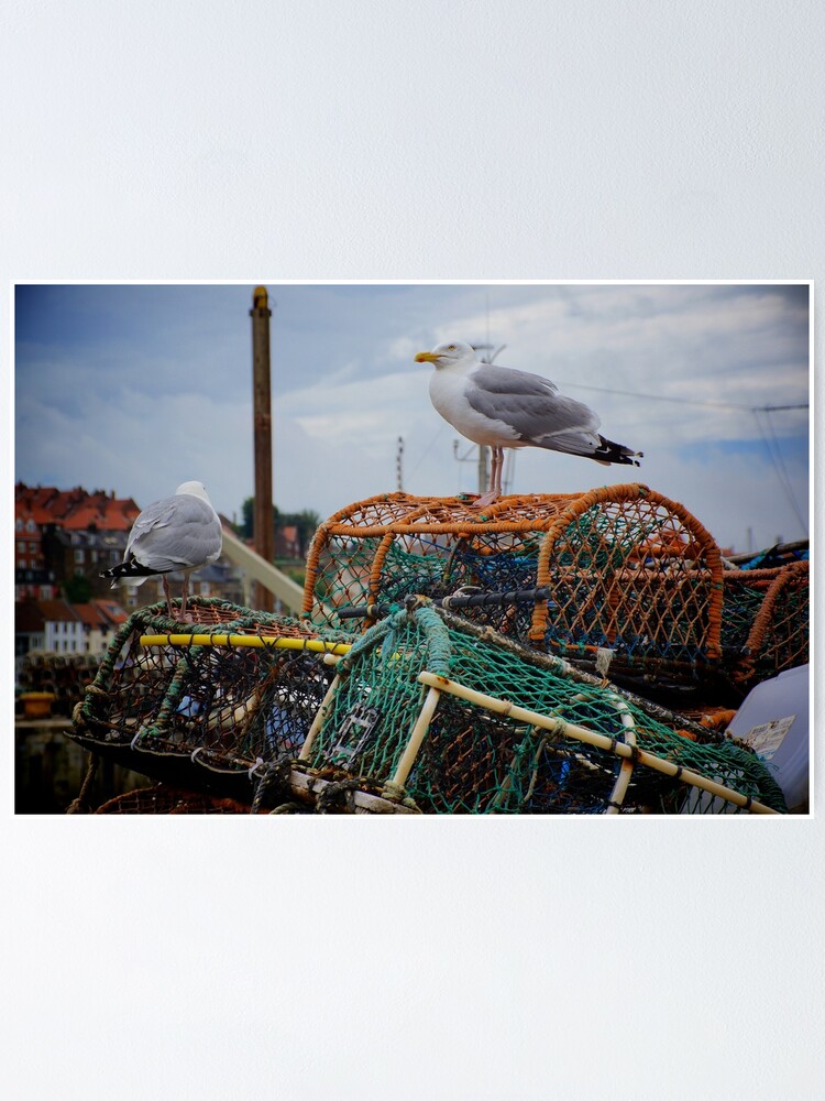 "The Cray Pots " Poster for Sale by DGaP Redbubble