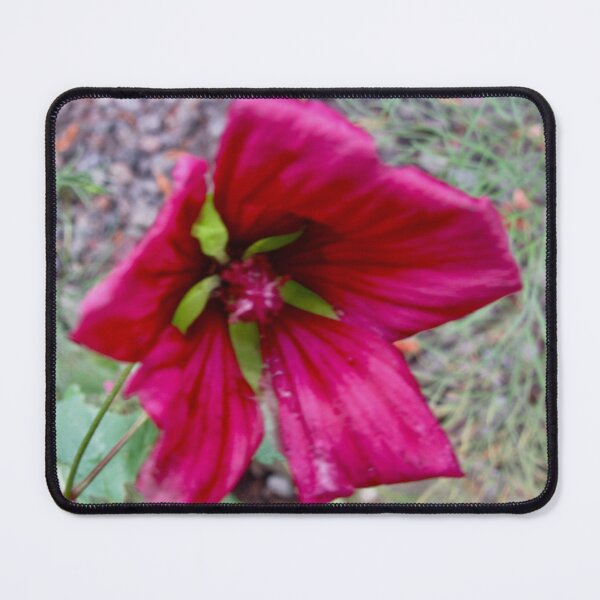 Item preview, Unusual Flower designed and sold by Shulie1.