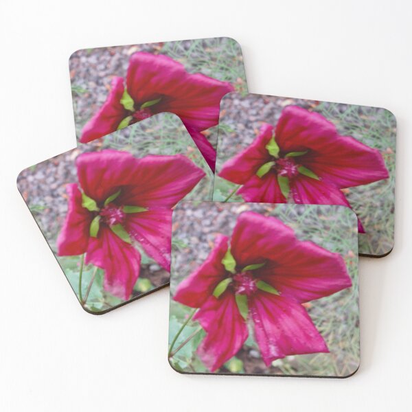 Item preview, Unusual Flower designed and sold by Shulie1.
