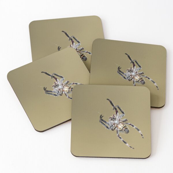 Item preview, Golden Garden Orb Spider designed and sold by Siene Browne.