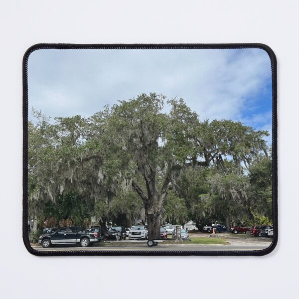 Item preview, Spanish Moss Trees designed and sold by maggiemuffin13.