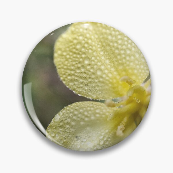 Item preview, Primrose designed and sold by Jason Tompkins.