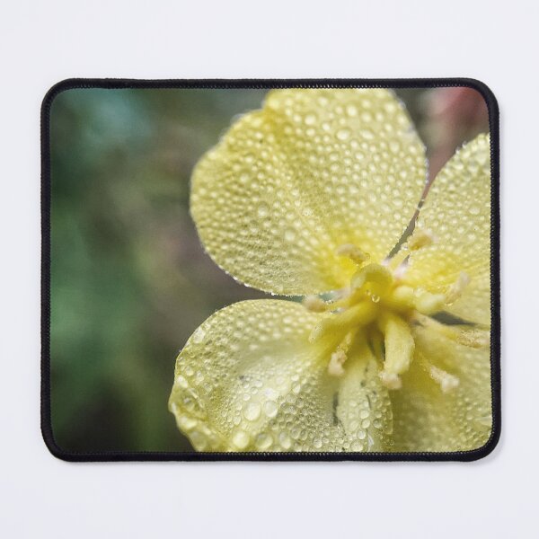 Item preview, Primrose designed and sold by Jason Tompkins.