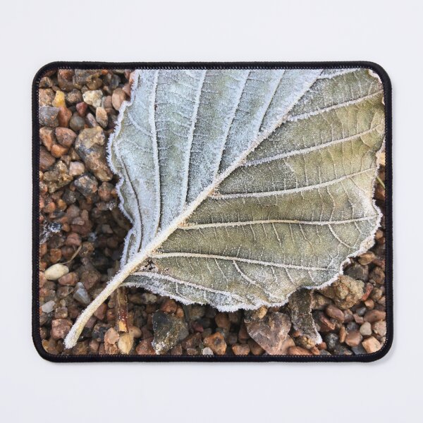 Item preview, leaf with veins is covered with frost designed and sold by mrivserg.