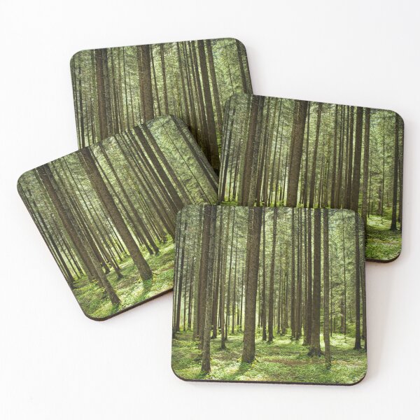 Item preview, Dappled Light and Tall Trees designed and sold by Viv Thompson Photography .