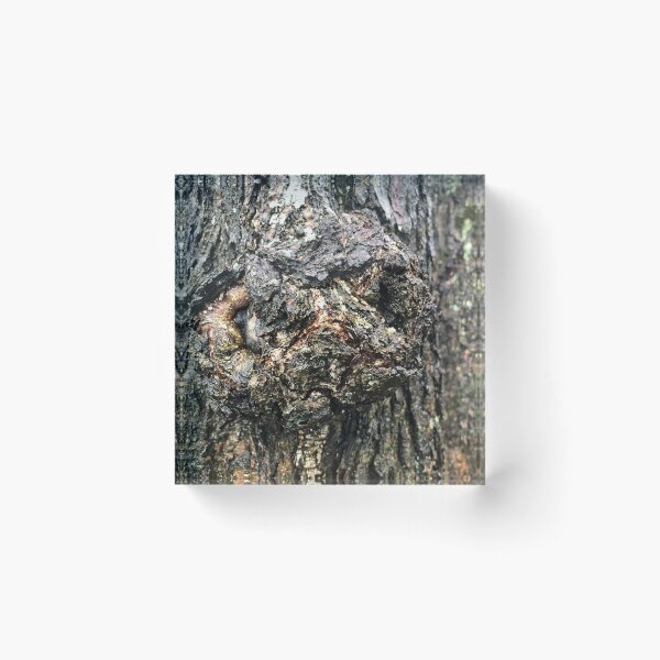 Item preview, burl growth on a tree trunk with cracked bark, rough texture designed and sold by mrivserg.