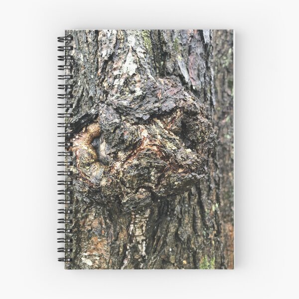 Item preview, burl growth on a tree trunk with cracked bark, rough texture designed and sold by mrivserg.