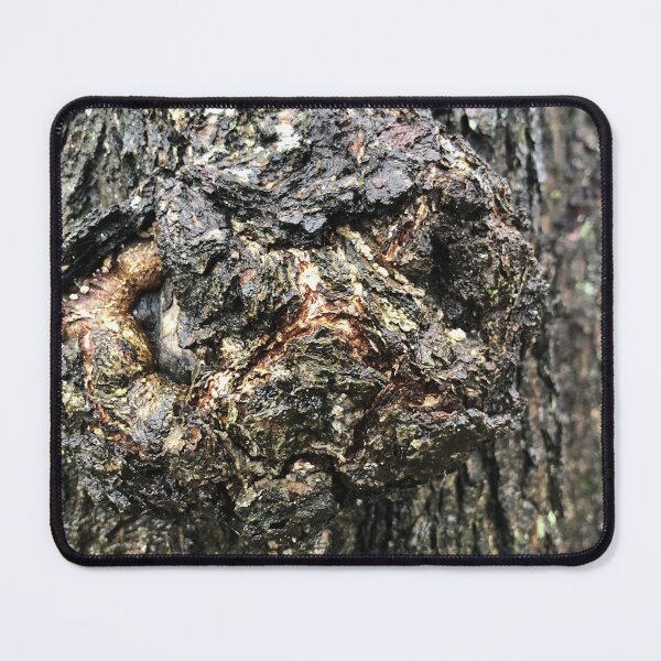 Aperçu de l'œuvre croissance de loupe sur un tronc d'arbre avec écorce fissurée, texture rugueuse créée et vendue par mrivserg.