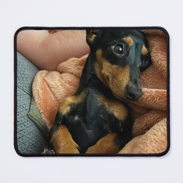 Item preview, Wiener Dog Cuddles designed and sold by maggiemuffin13.