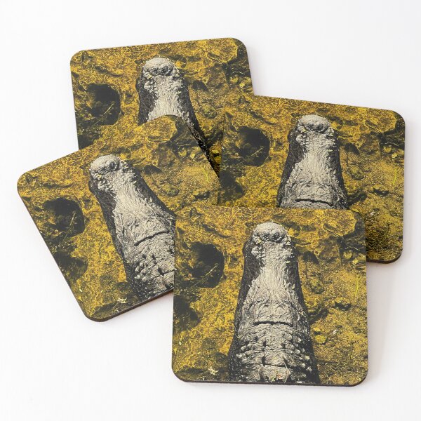 Item preview, Florida Alligator    designed and sold by Jason Tompkins.