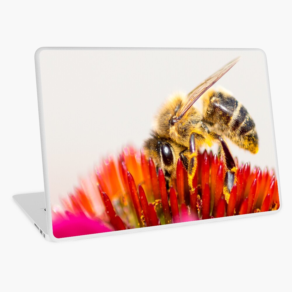 Artikel-Vorschau von Laptop Folie, designt und verkauft von Igelchen.