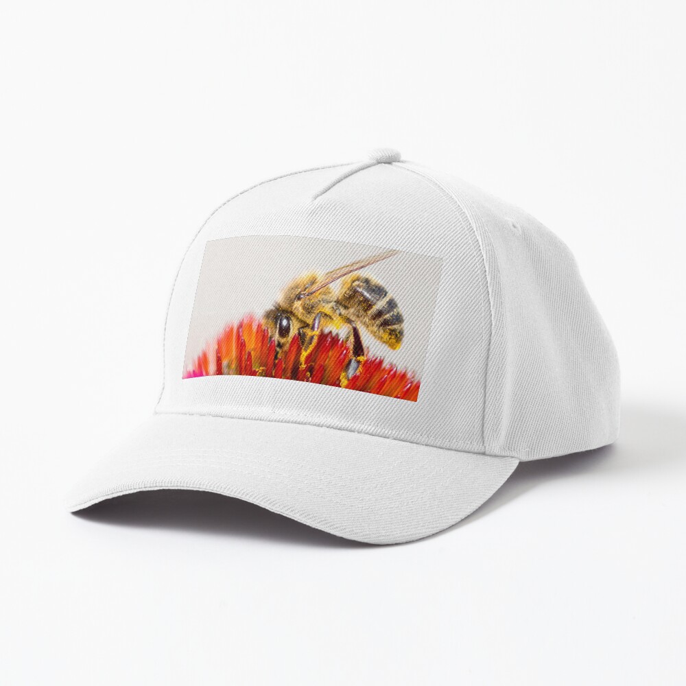 Artikel-Vorschau von Baseball Cap, designt und verkauft von Igelchen.