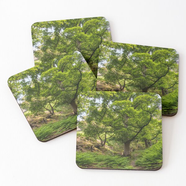 Item preview, Kirk Close Woodland designed and sold by John Dunbar.